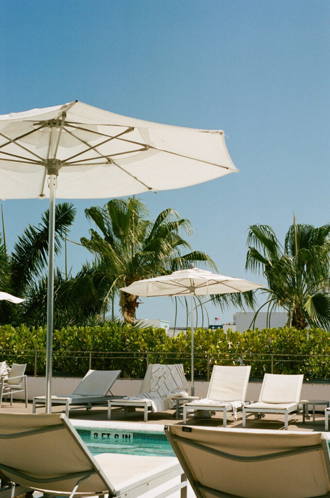kodak-portra-film-roberta-baker-000079280024 kodak-portra-film-roberta-baker-000079280024