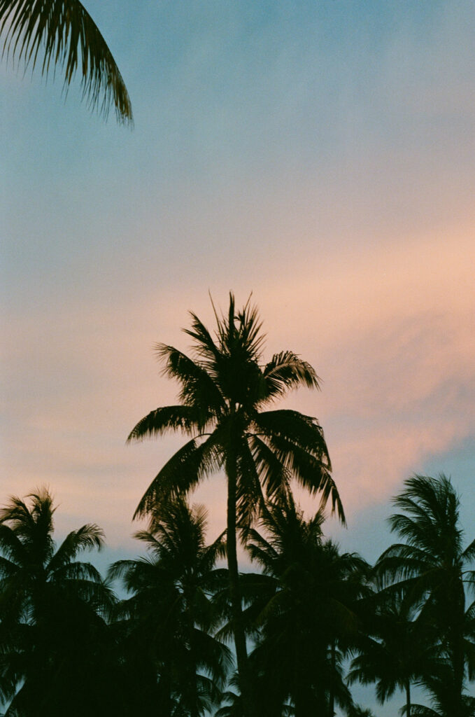 kodak-portra-film-roberta-baker-000079280029 kodak-portra-film-roberta-baker-000079280029